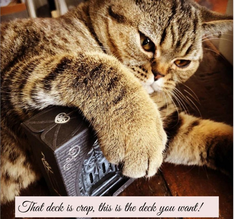 GatekeeperCat1.jpg